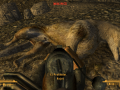 FalloutNV 2012-05-11 13-36-40-80.png